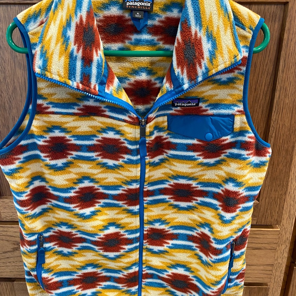 Patagonia Synchilla Fleece Vest